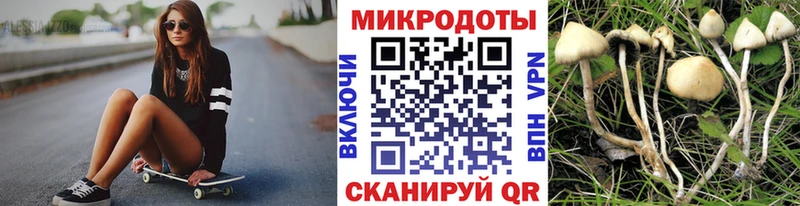 Купить где  Рошаль  Галлюциногенные грибы прущие грибы 